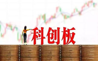 科创板你必须要了解的 二 中介服务